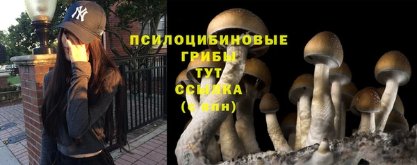 гашиш Вяземский