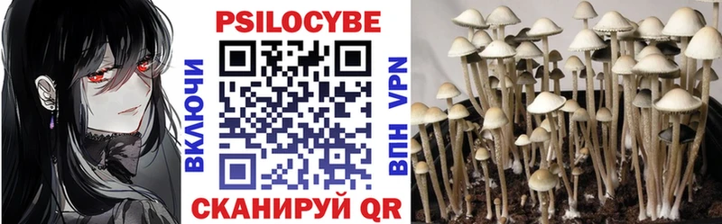 Купить  Нея  Псилоцибиновые грибы мухоморы 